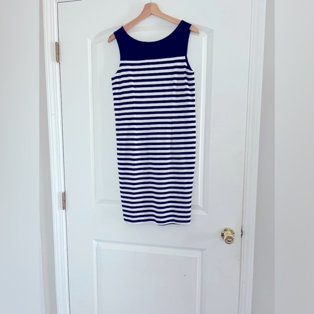 Banana Republic Striped Dress